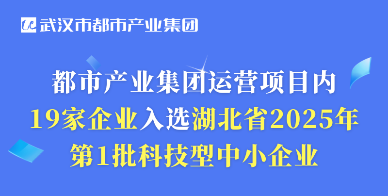 都市產(chǎn)業(yè)集團(tuán)運(yùn)營項(xiàng)目內(nèi)19家企業(yè)入選湖北省2025年第1批科技型中小企業(yè)